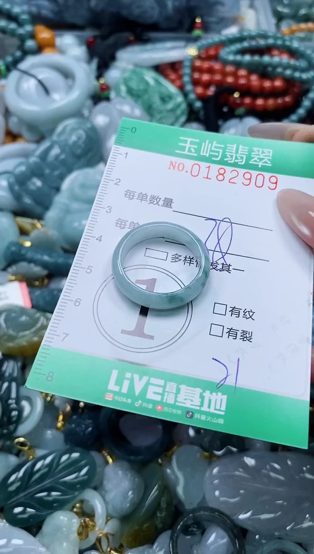 翡翠未镶嵌颈饰闪购0182909