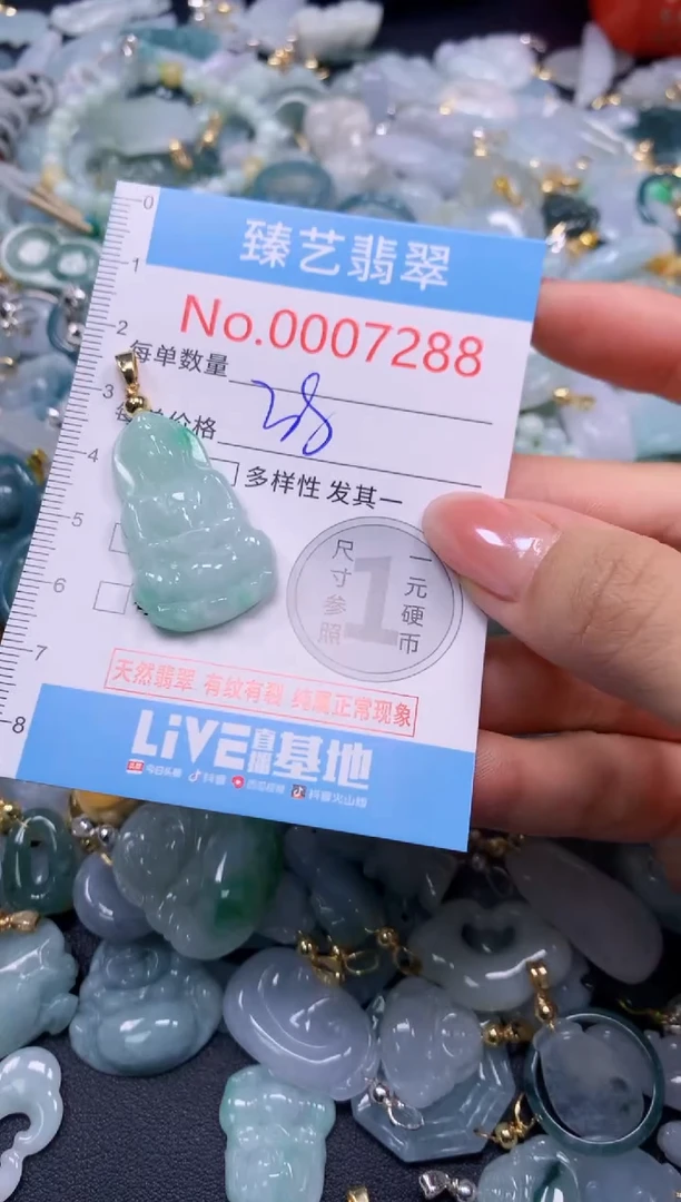 颈饰未镶嵌翡翠7288