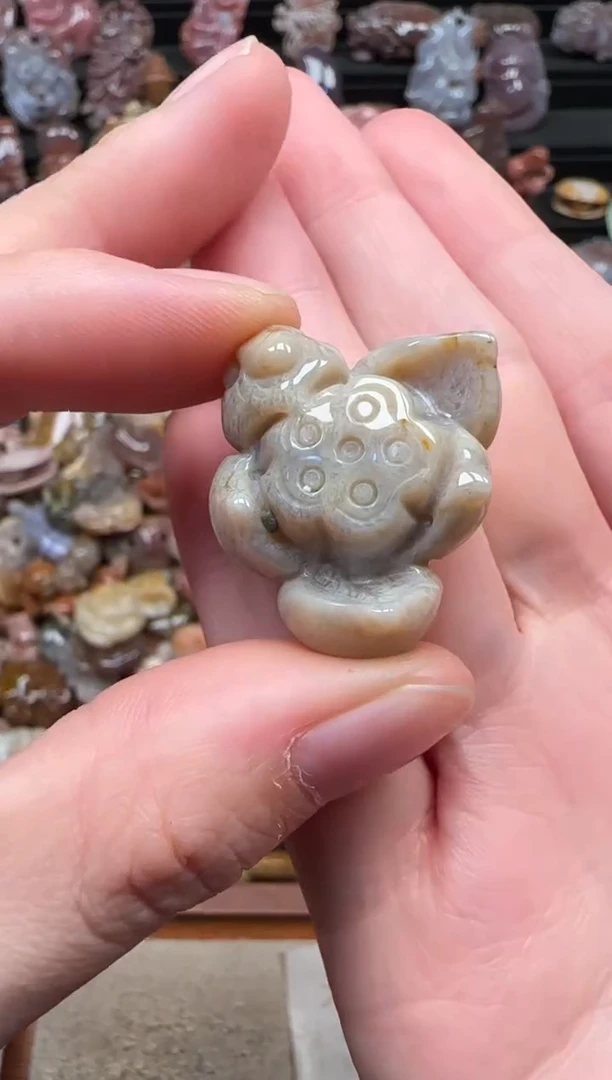 颈饰未镶嵌硅化珊瑚（珊瑚玉）502