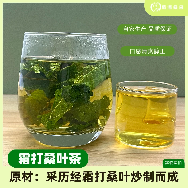 桑叶茶霜打桑叶霜后正品桑叶茶新鲜桑葚叶泡水养生原产地直销