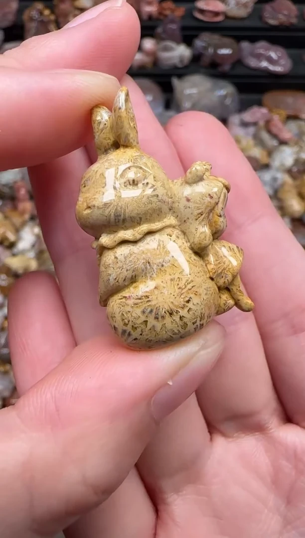 颈饰未镶嵌硅化珊瑚（珊瑚玉）640