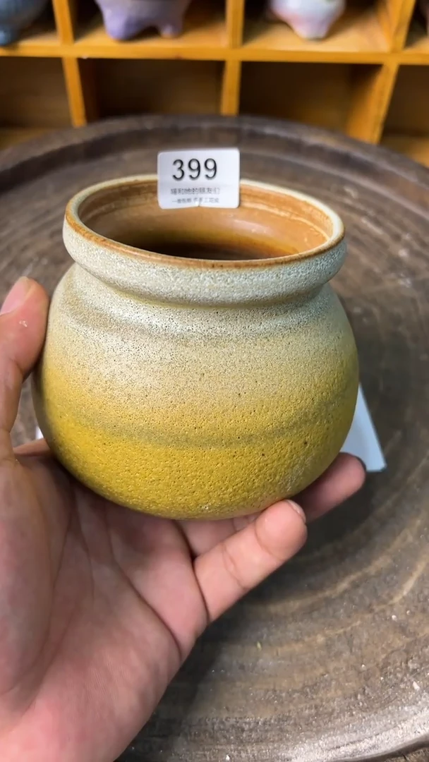 399【多肉花盆多肉盆】