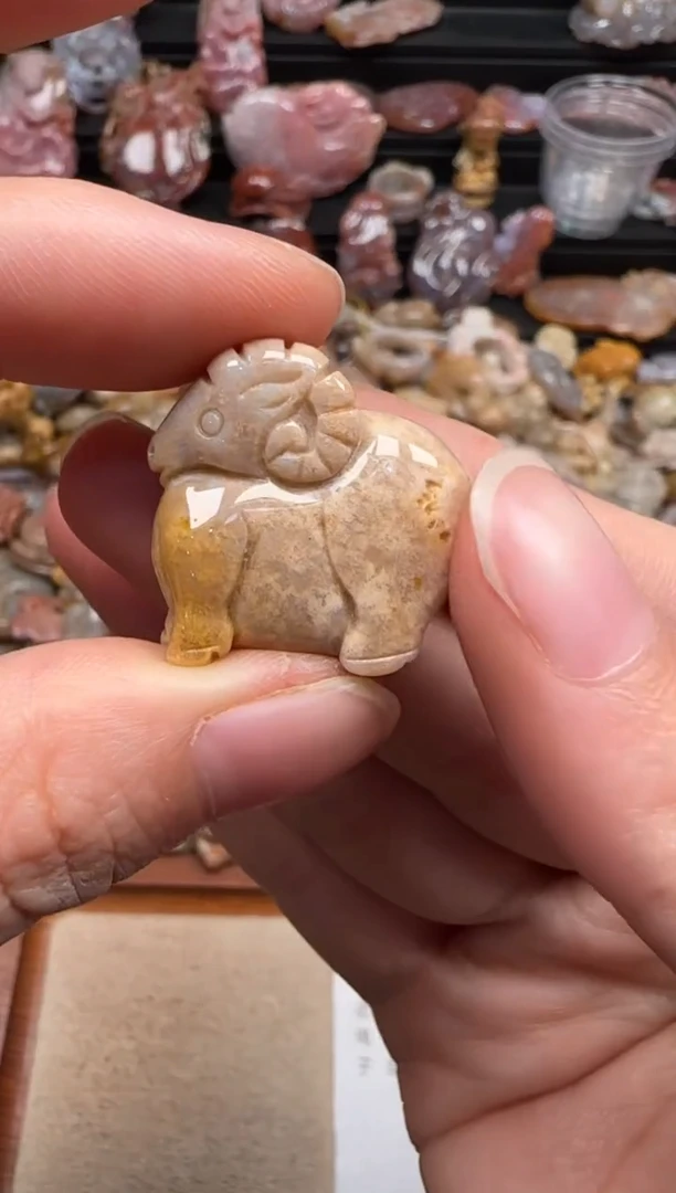 【闪购商品】硅化珊瑚（珊瑚玉）颈饰未镶嵌062
