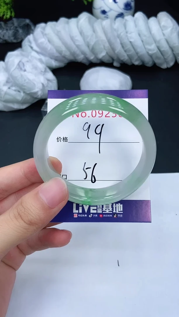 未镶嵌手镯翡翠9238