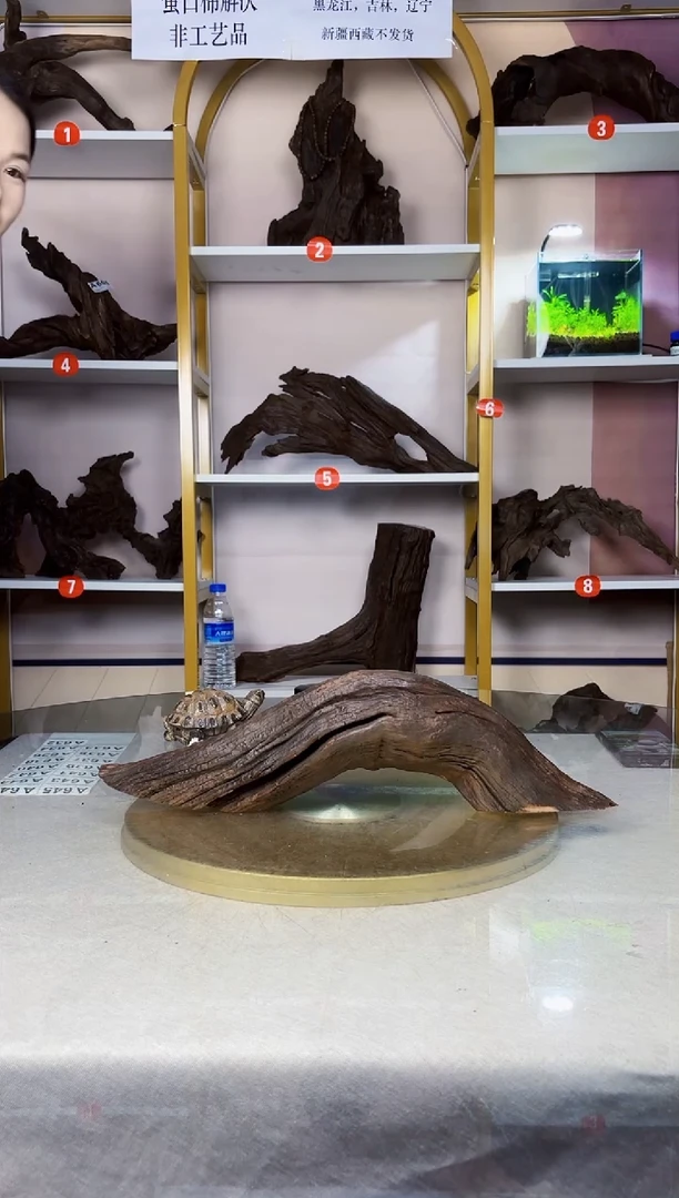 穆***宠云南紫柚木A632