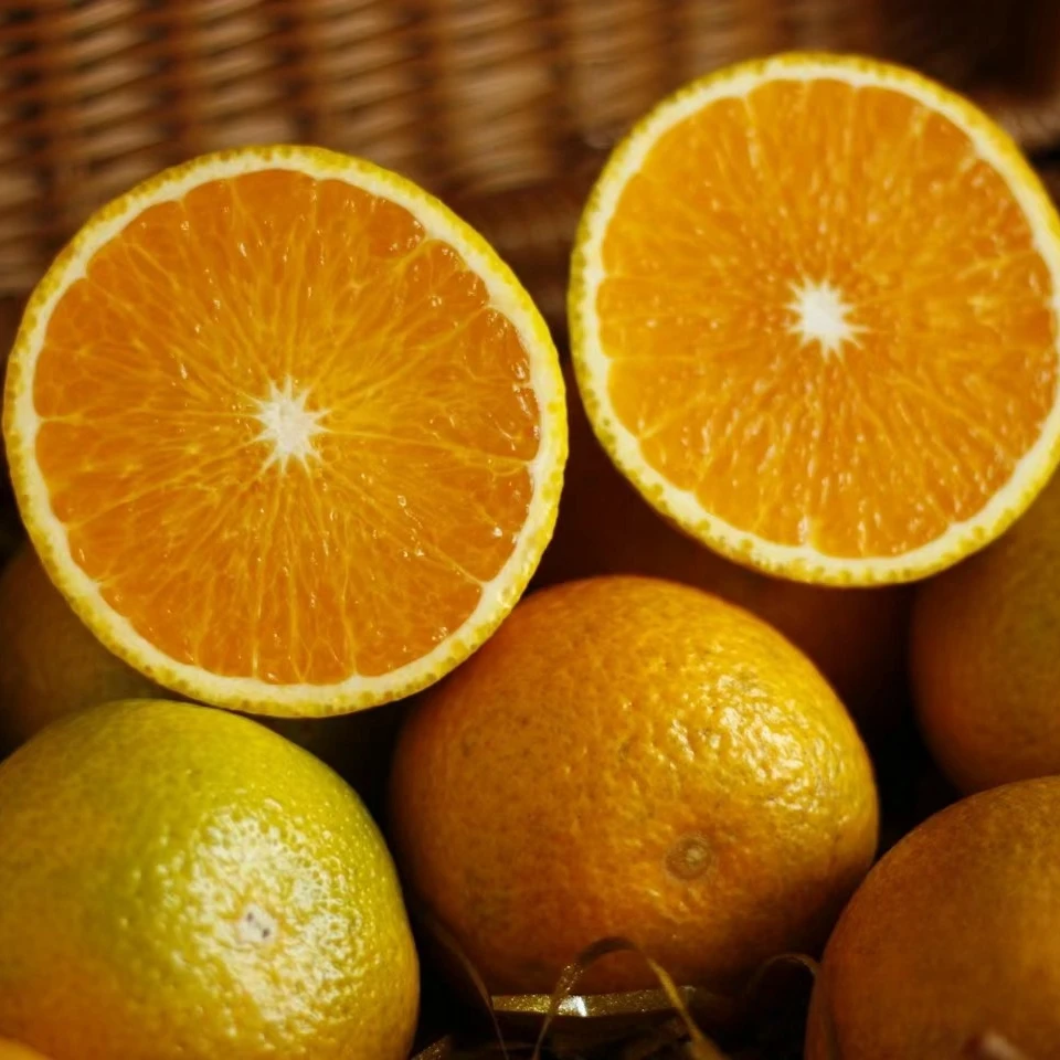 【甜橘柚】果粒饱满汁水丰富口感细腻甜蜜果肉鲜嫩无渣