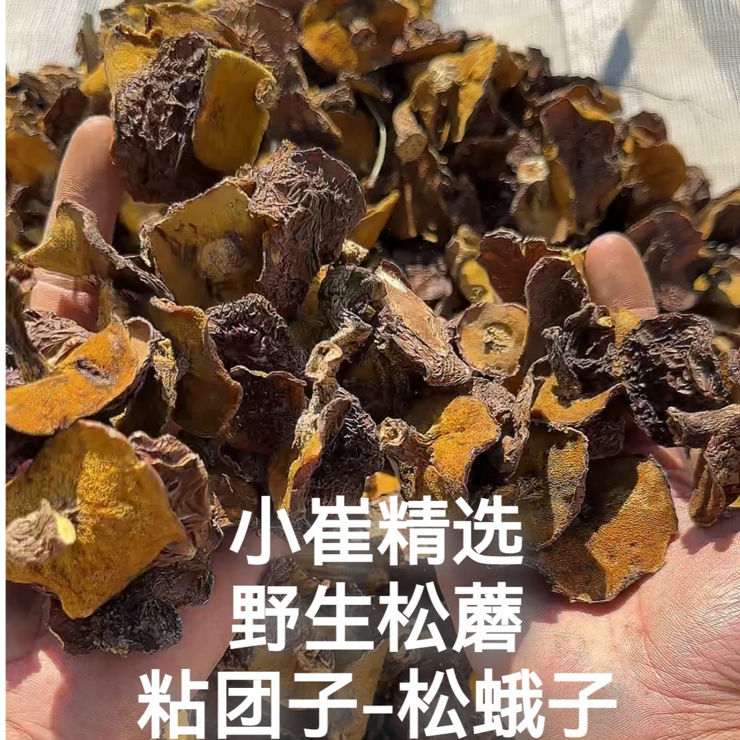 东北野生松蘑 粘团子 松蛾子 25年新货  干净无根 肉质滑嫩