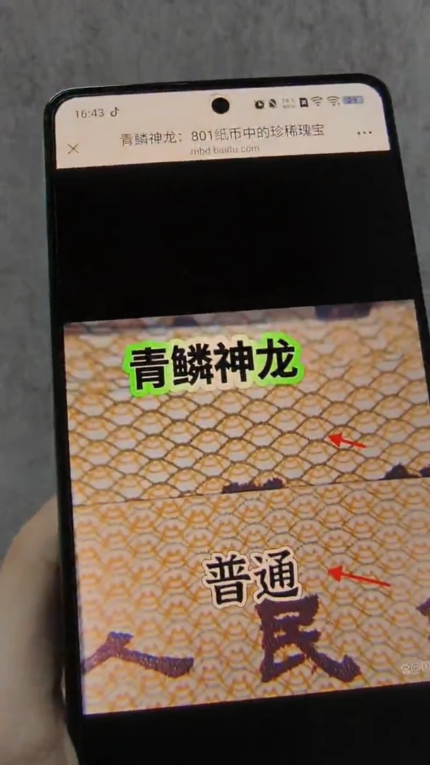 L青鳞神龙（号码随机发货）
