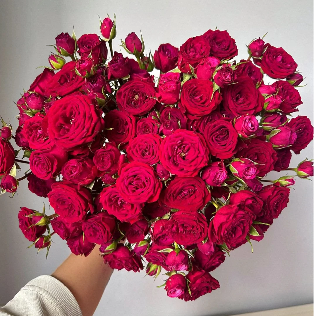 【独鬏鬏优选】A级鲜花 [猩红泡泡] 多头玫瑰 现采现发 顺丰冷链发