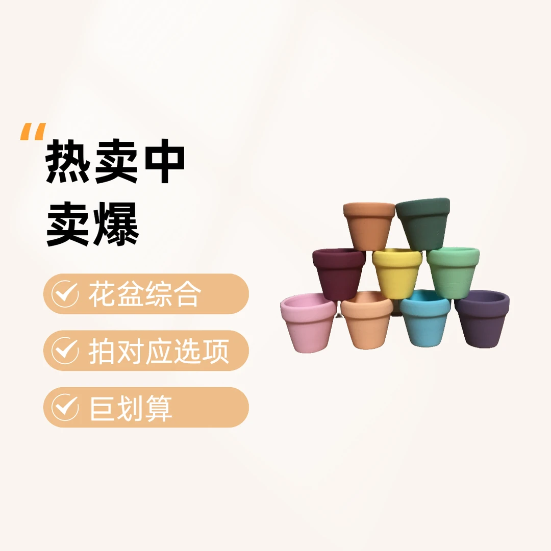 【新老粉丝福利】5号花盆综合新老粉丝精品多肉