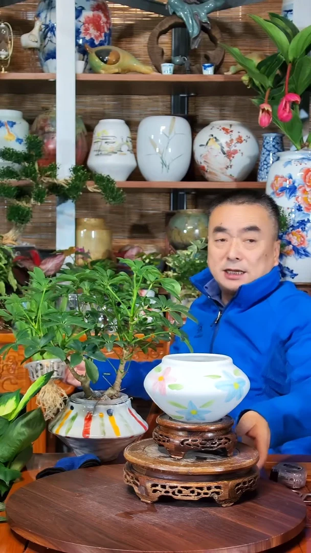 全部花苞昭*水之韵水培瓷器瓶