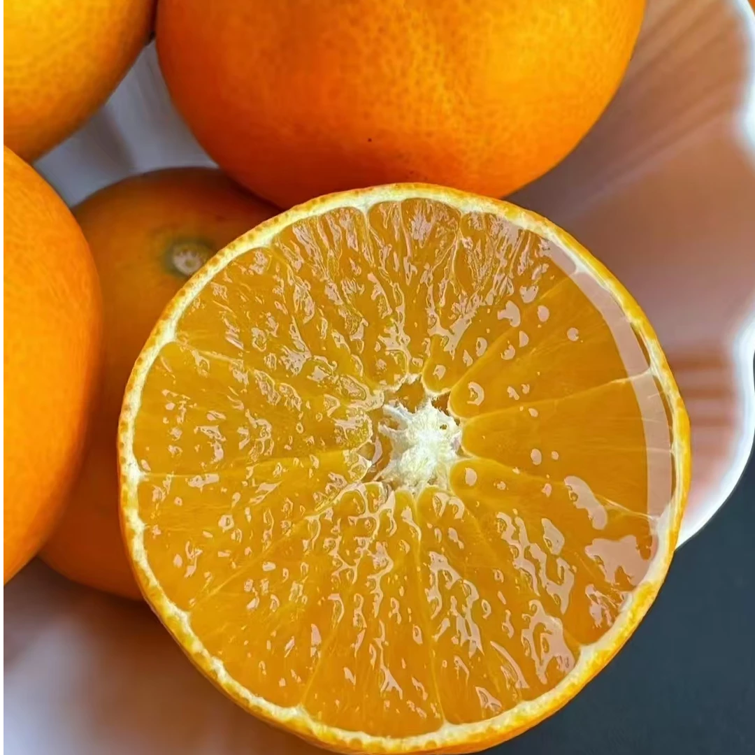四川正宗爱媛果冻橙新鲜当季水果甜多汁现摘现发