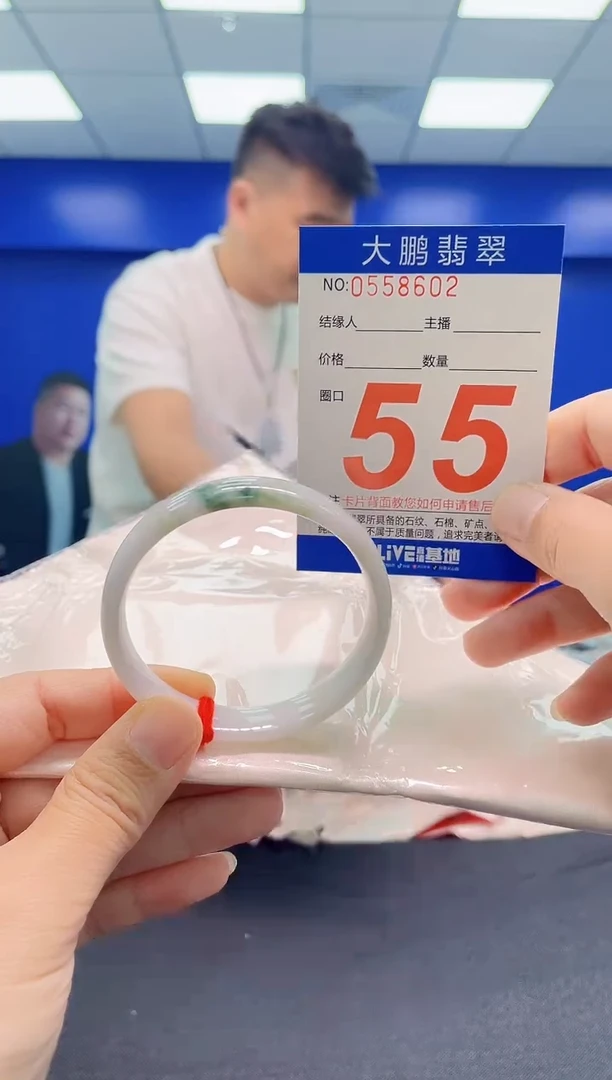 未镶嵌手镯翡翠AAAAAAAAA