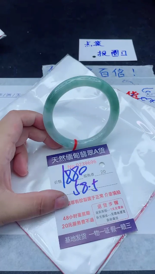 未镶嵌手镯翡翠1880