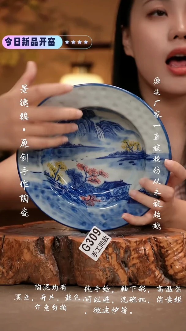 其他G309 新十二器