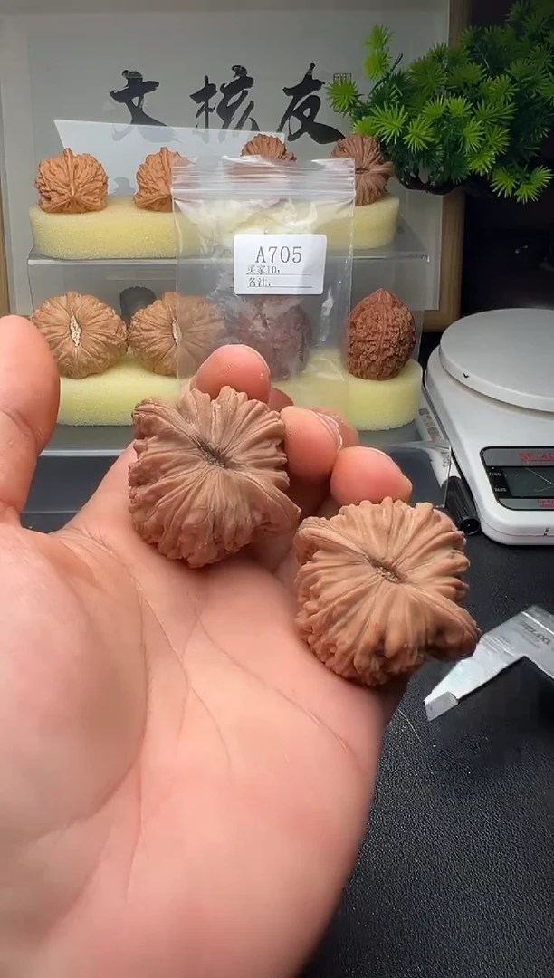 【闪购商品】A705一代四座楼45尺全品