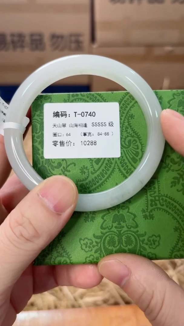 未镶嵌手镯石英质玉T-0740