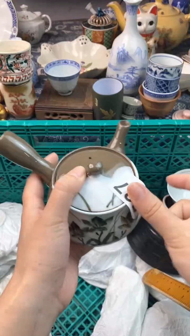 瓷片柳11111111111111