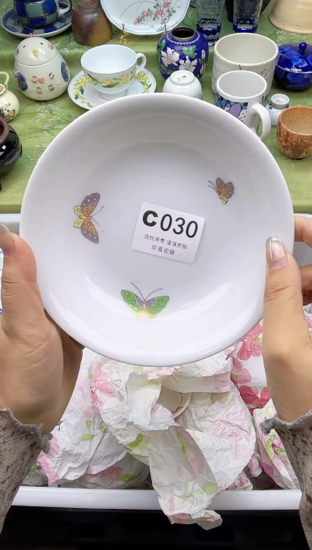 瓷片苇*        C030