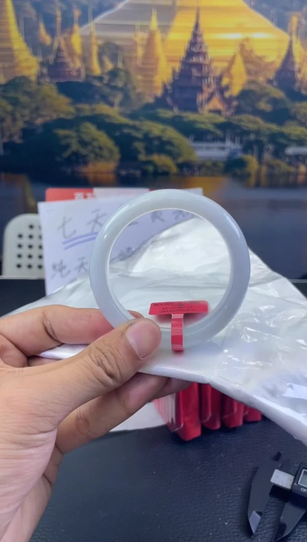 未镶嵌手镯翡翠4