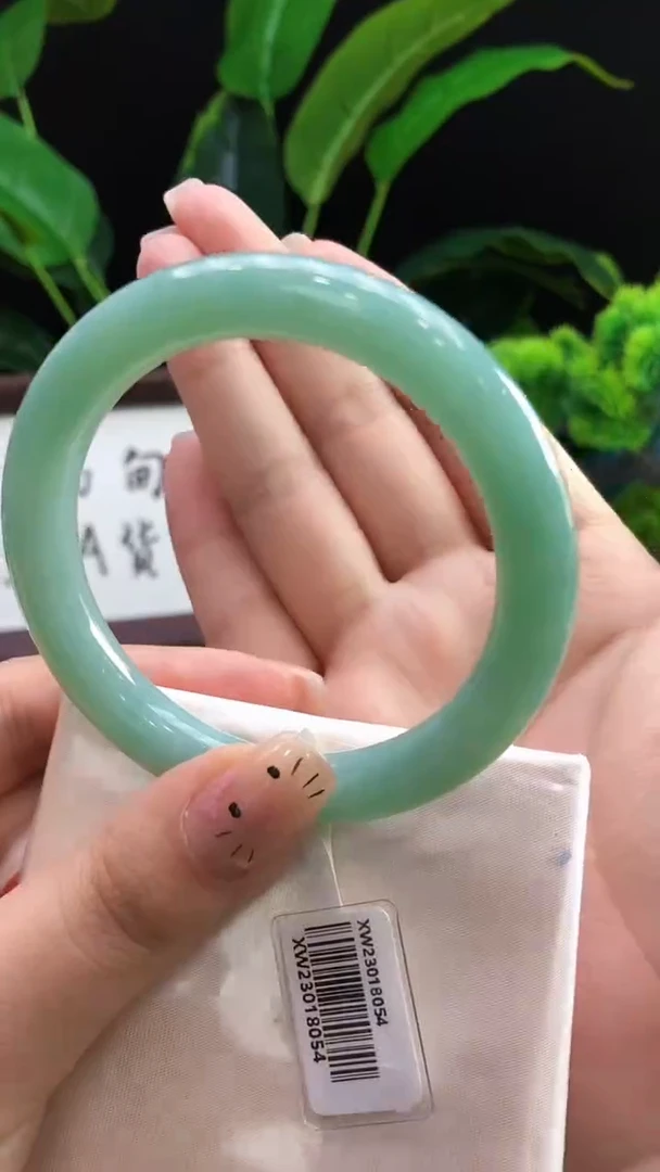 未镶嵌手镯翡翠三天鉴赏期