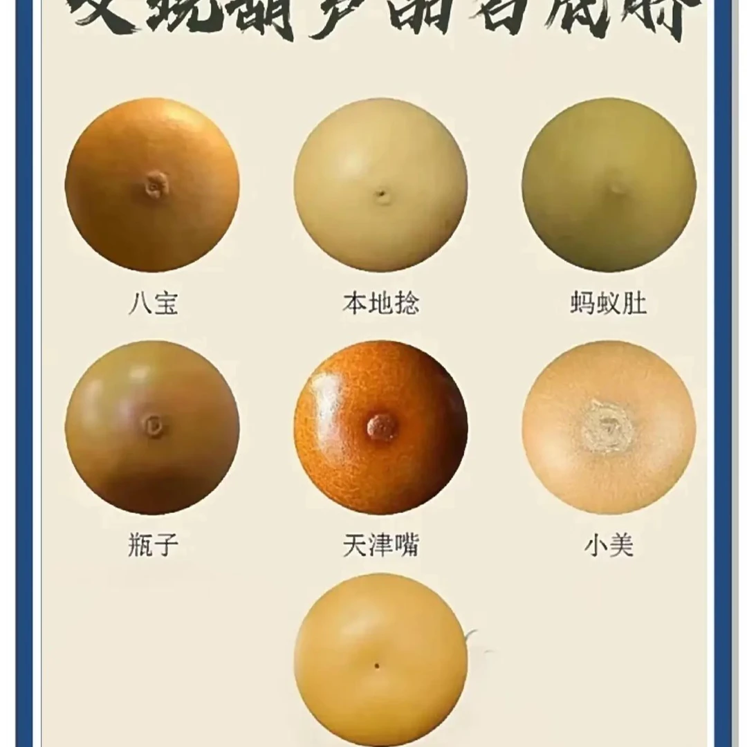 天然葫芦八宝葫芦