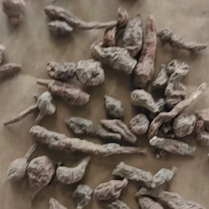 高海拔蕨麻藏区人参果大颗粒干货250g