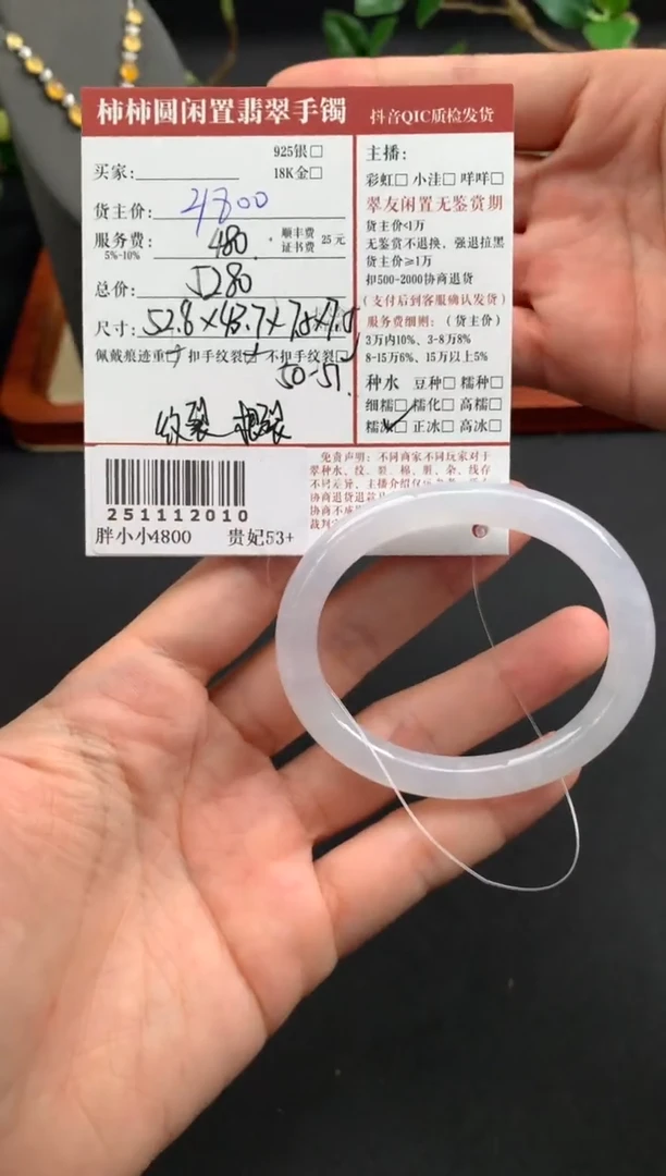 未镶嵌手镯翡翠姐姐251112010