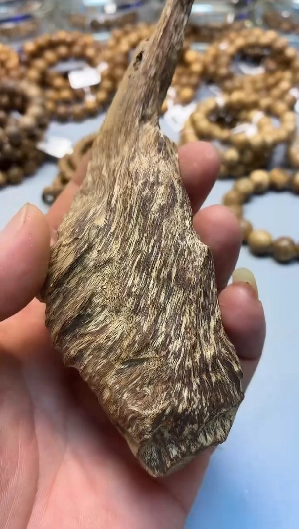 沉香手把件 海南沉香随型碎料把件多样性发其一