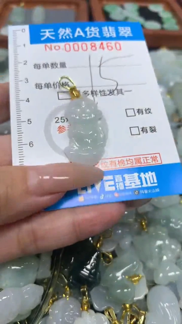翡翠未镶嵌颈饰净货挂件-8460