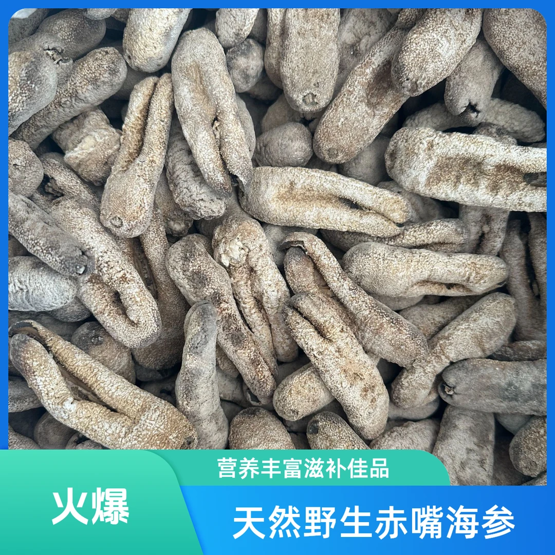 虎皮野生海参干货淡干虎皮红虎皮深海参厚肉海参酒店酒席供应