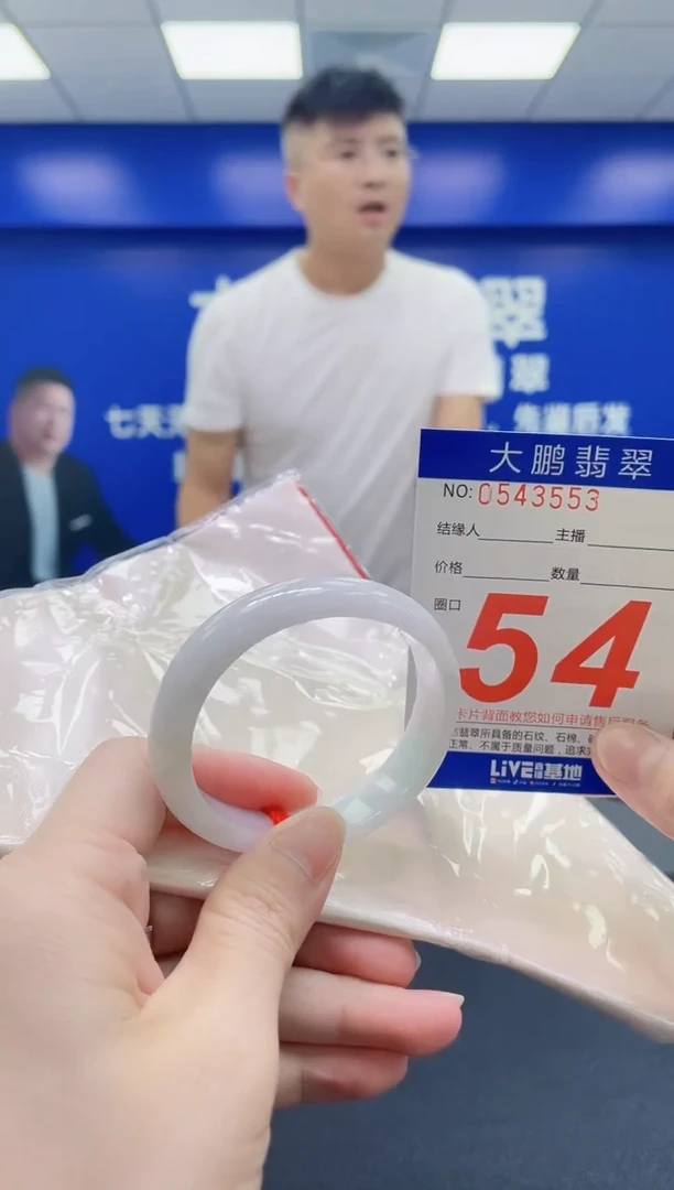 未镶嵌手镯翡翠AAAAAAAAA