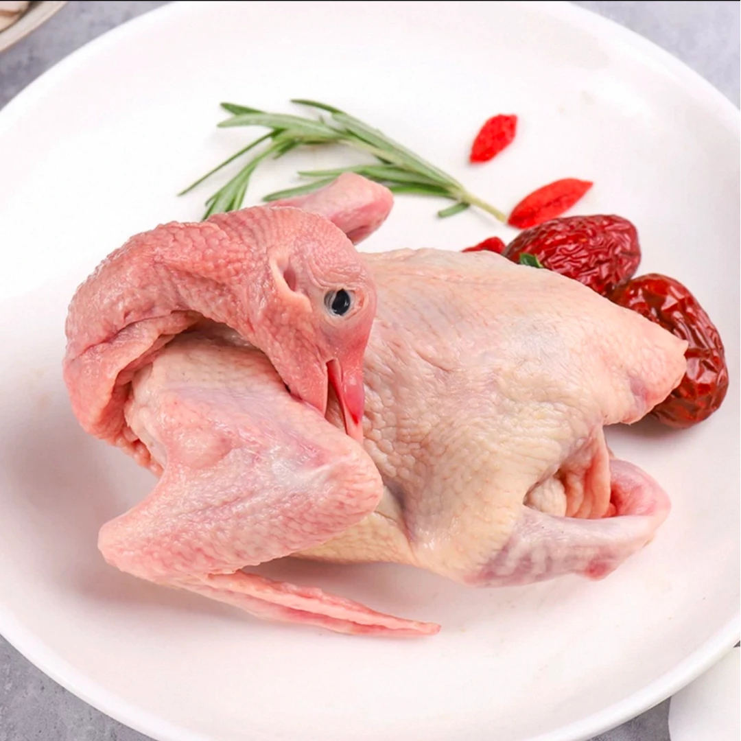 【卢鸽子】新鲜现杀带头脚带内脏农家散养谷饲白条乳鸽成年鸽老鸽子