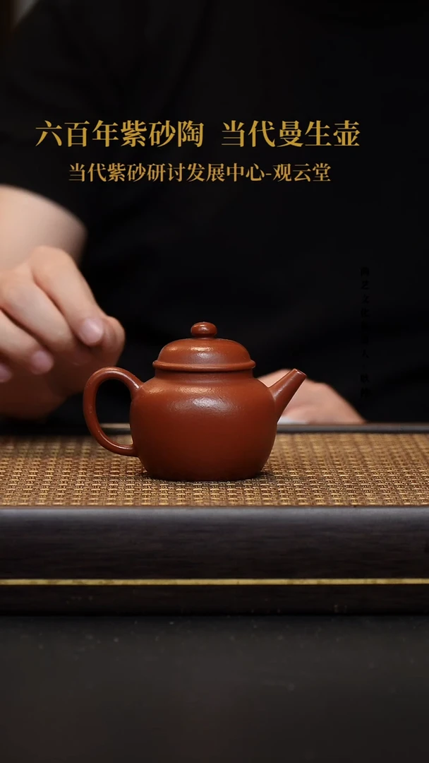 茶壶紫砂宜兴紫砂壶巨轮珠