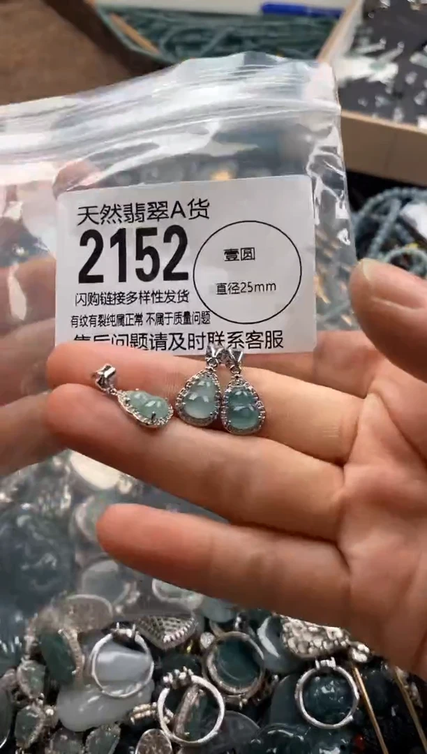 【闪购商品】翡翠颈饰未镶嵌多样性发其一2152