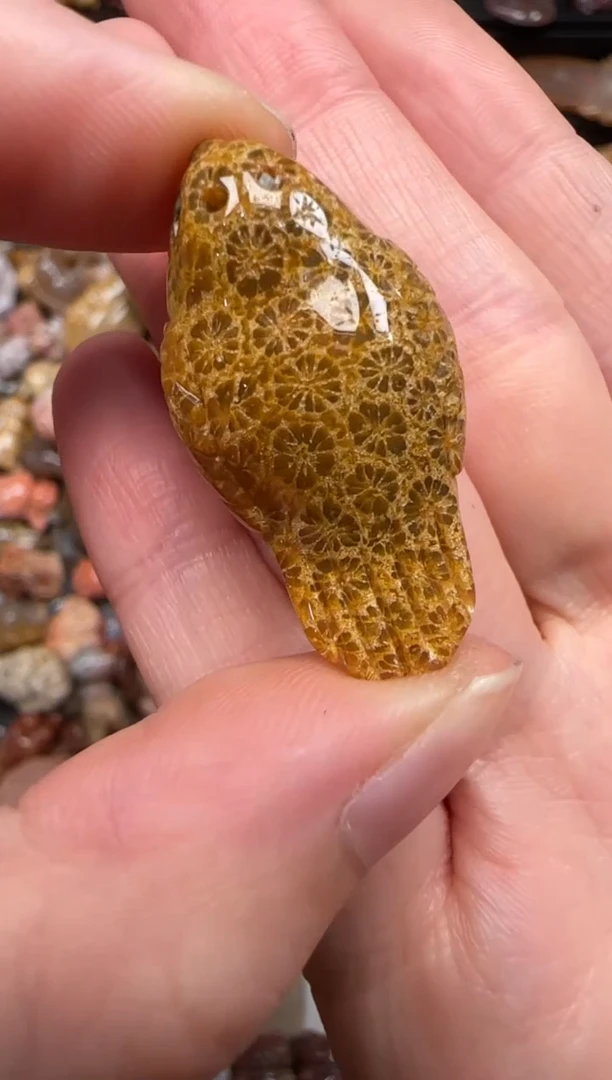硅化珊瑚（珊瑚玉）未镶嵌颈饰765