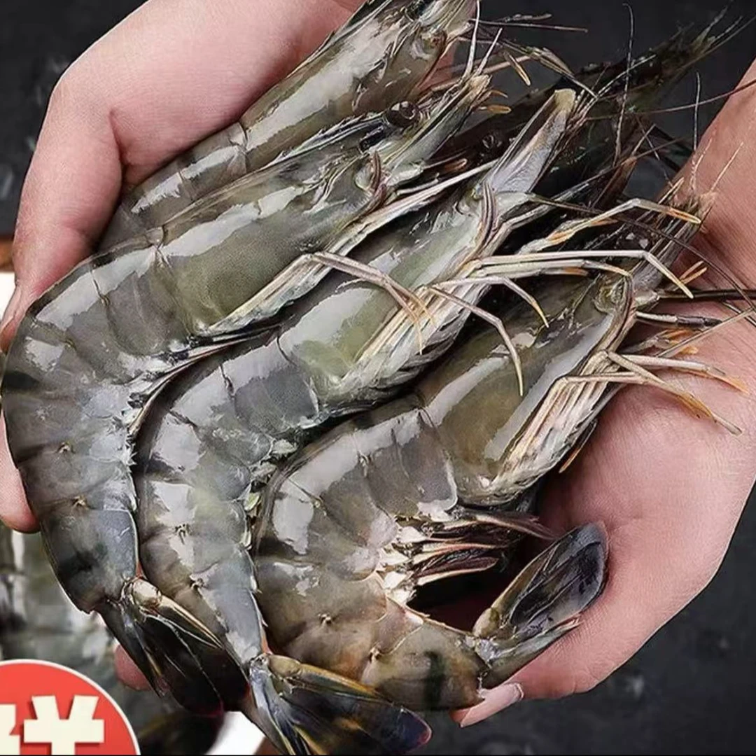 A【春春海鲜】鲜冻黑虎虾 老虎虾21-25规格30-40只左右/盒