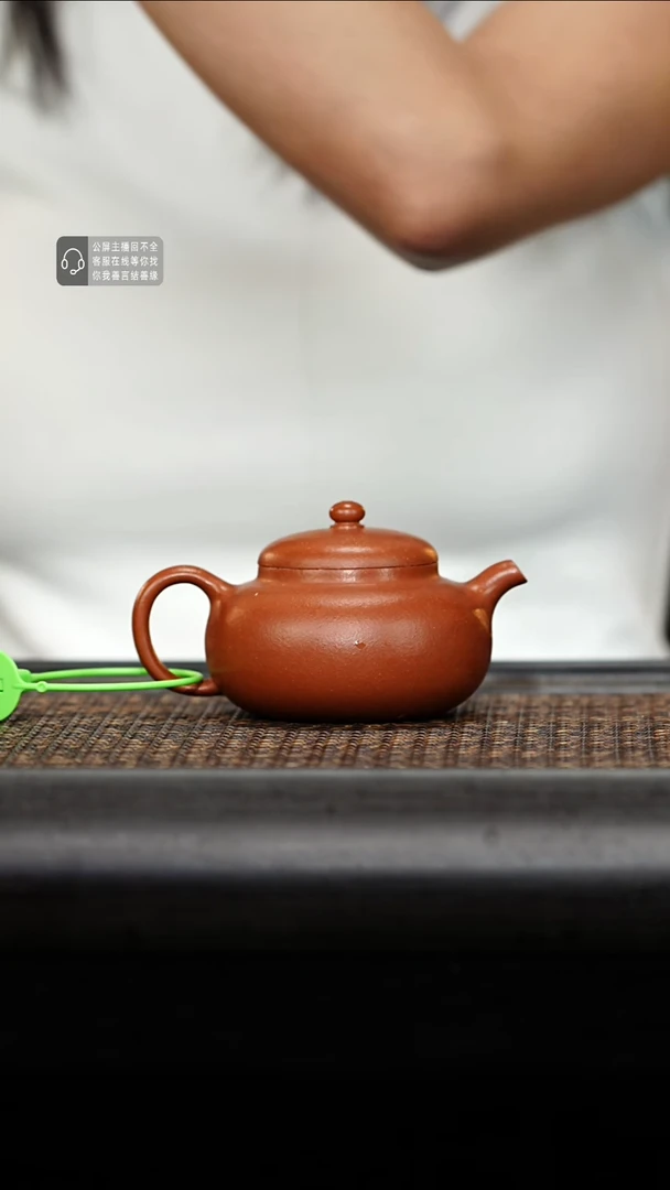 茶壶紫砂紫砂茶壶柿圆