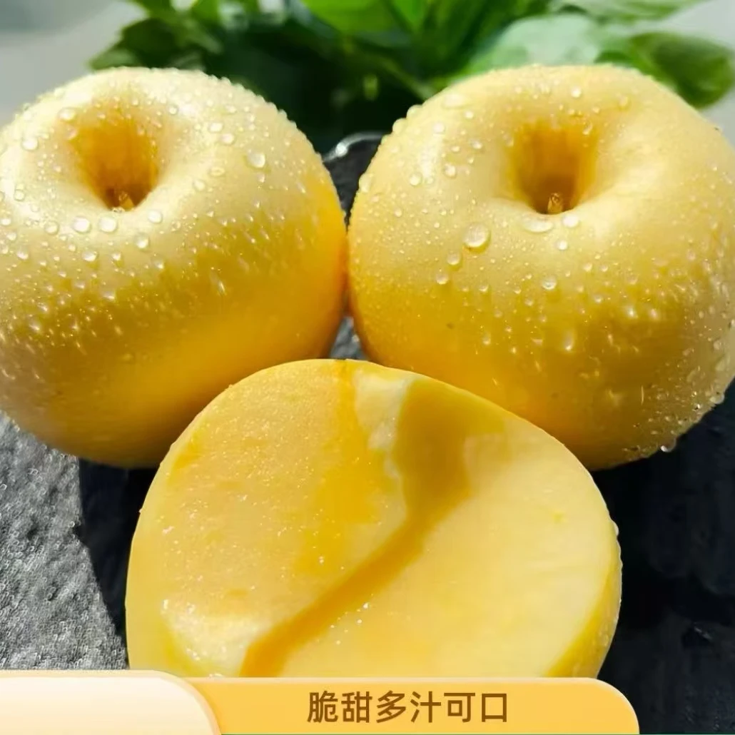 【汇鲜萃】黄金奶油富士苹果山东烟台苹果牛奶苹果新鲜水果