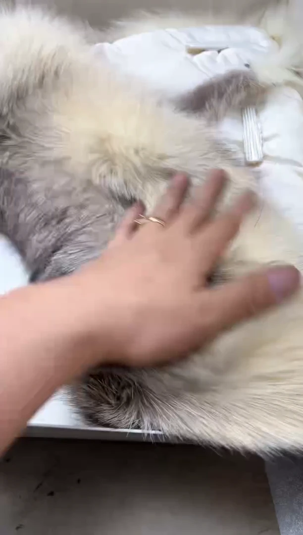 瓷片1511聚宝缘海陶精选