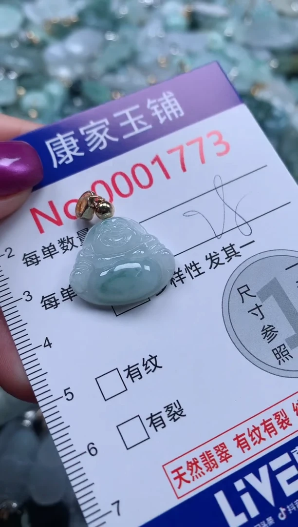 颈饰未镶嵌翡翠1773