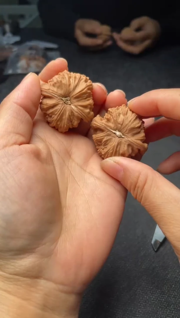 把件文玩核桃W149  白狮子  39