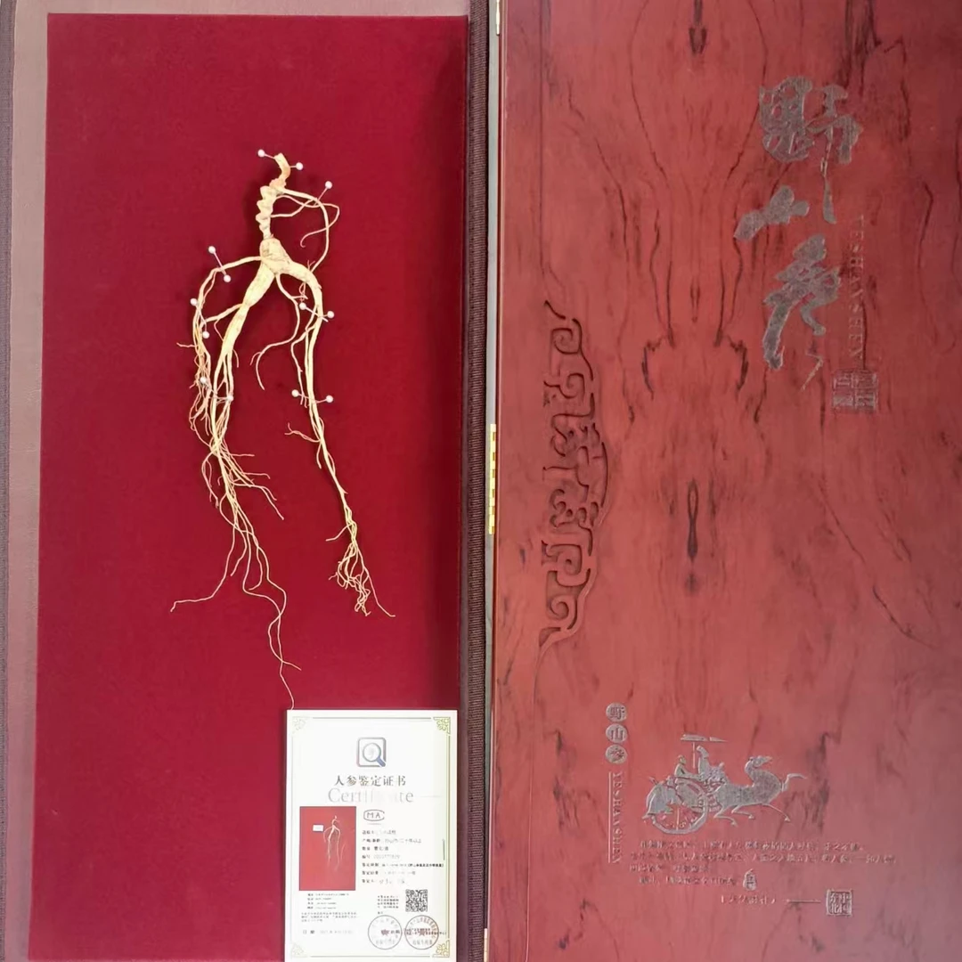 省检一等人参（带礼盒）一参一证 送领导送长辈 佳品