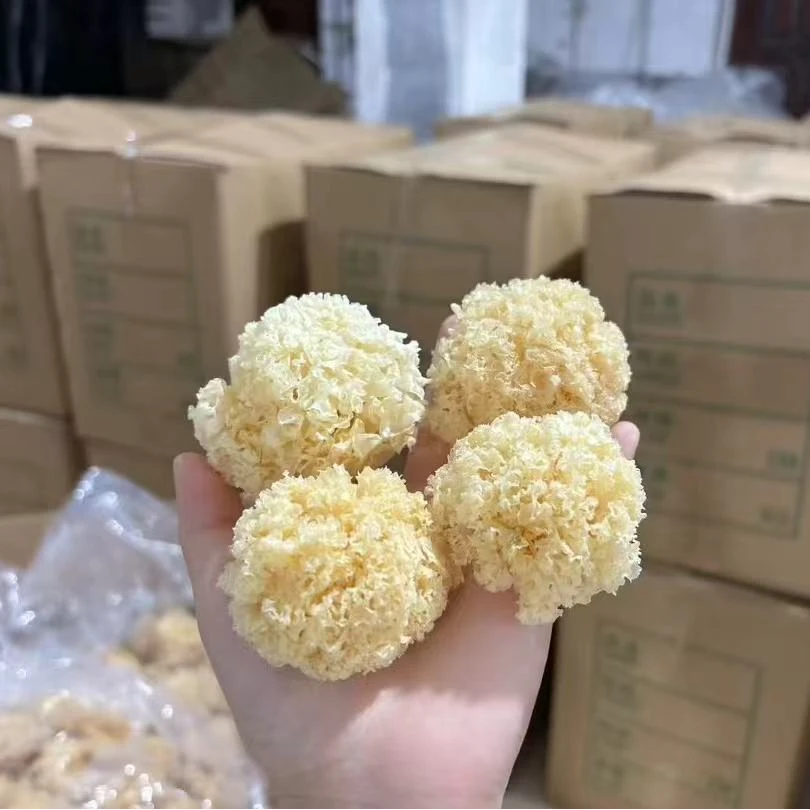 椴木小银耳秦岭深山产地直销