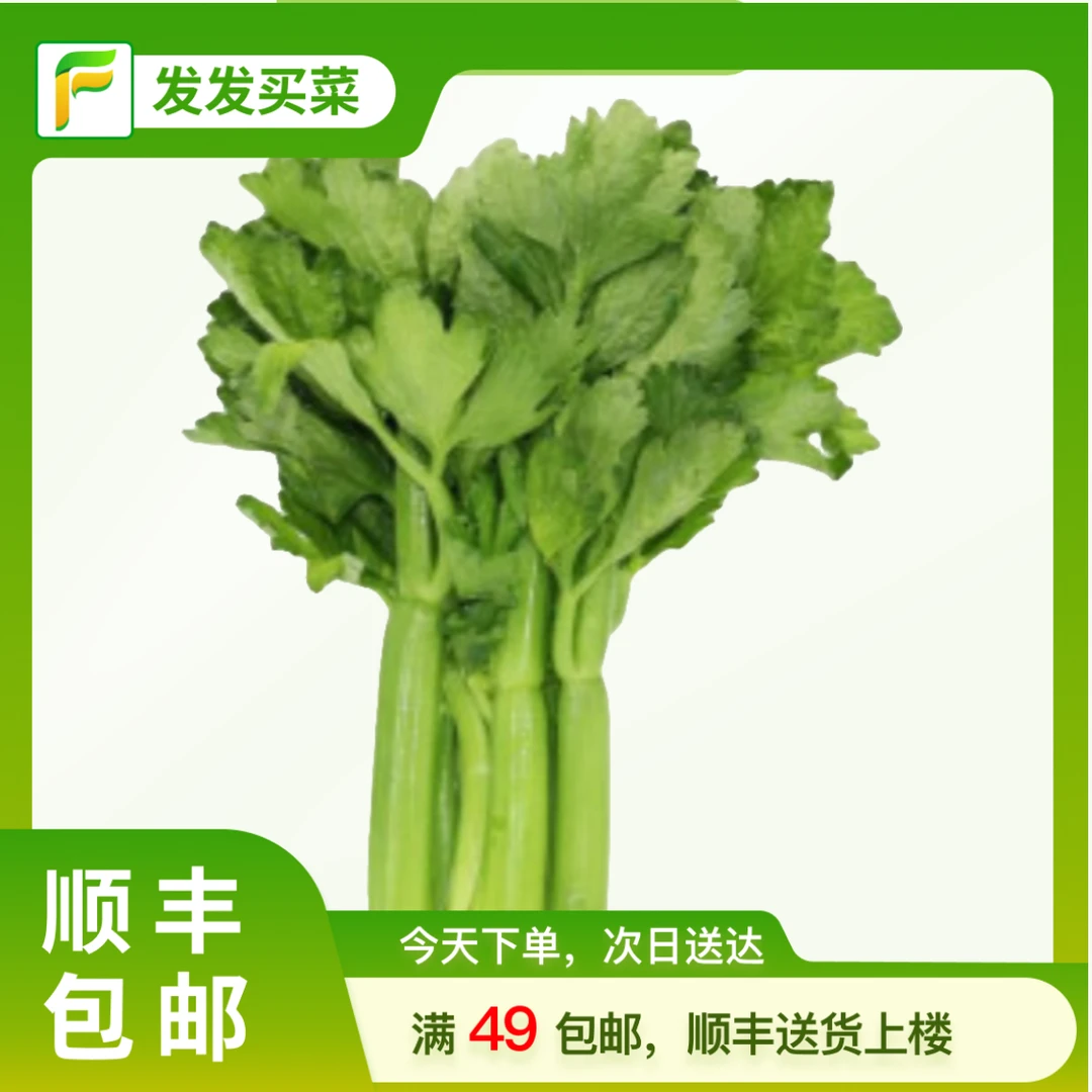 发发云南高原水果西芹200±5g/份（生吃、凉拌、榨汁）水果清芹/脆嫩甘甜（部分批次中间有嫩黄的叶子，不是老）芹菜