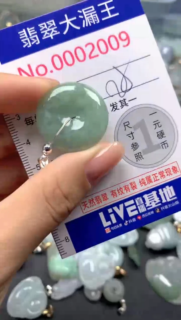 颈饰未镶嵌翡翠2009