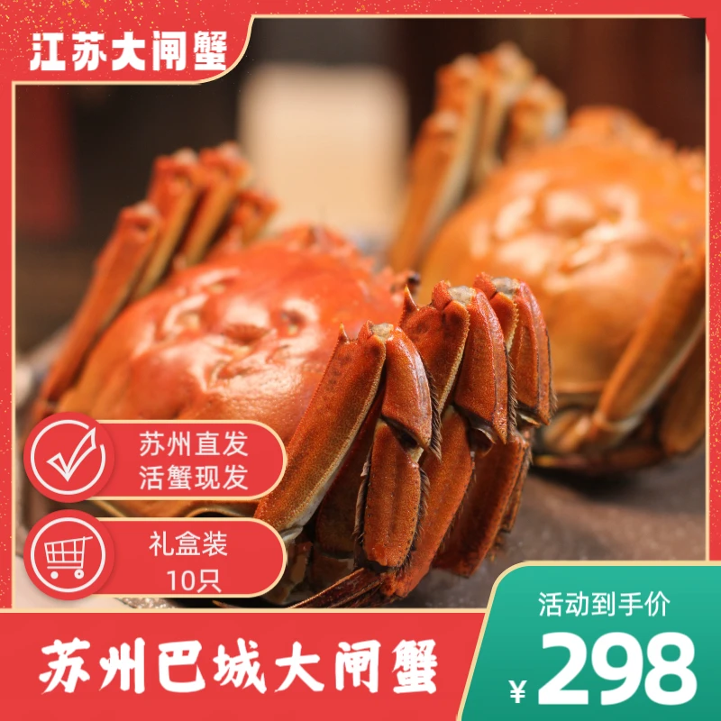 【活蟹】苏州大闸蟹母蟹2.8-3.1两拍8送2到手10只P（坏死包赔）