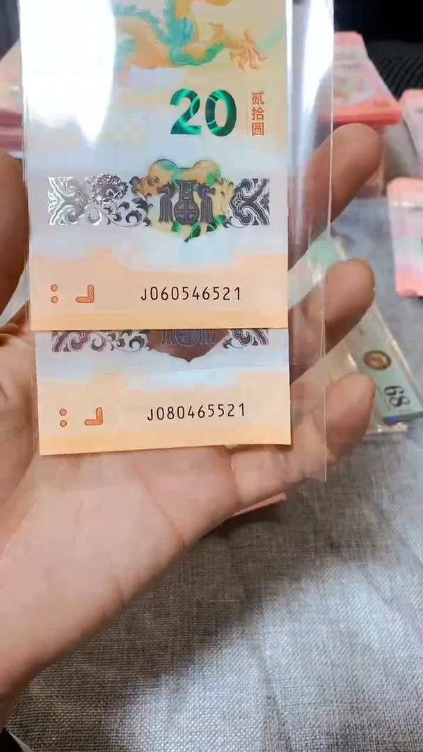 【闪购商品】塑料2024年蛇年纪念品单张