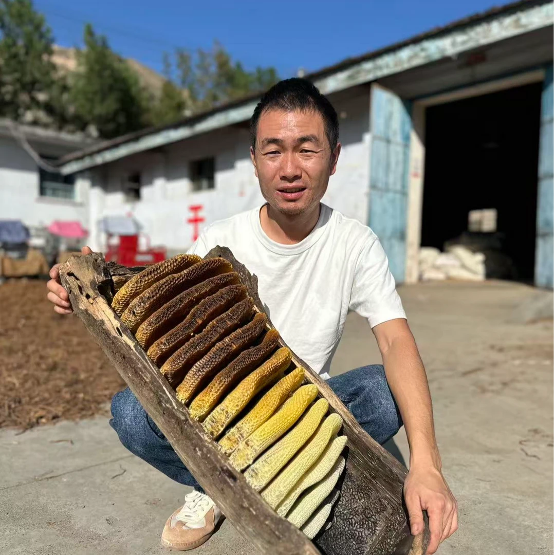 【土蜂蜜】蜂巢蜜 天然蜂蜜 甘肃高原农户自产 无添加天然蜜源500克