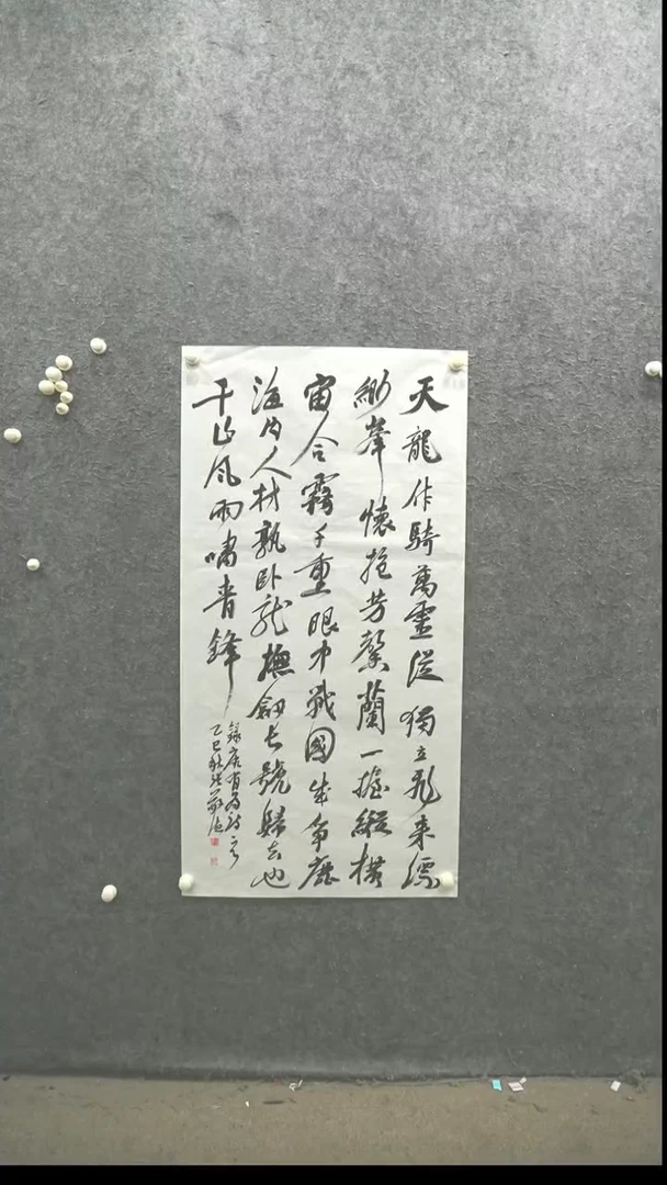 国画书法zjd老师作品